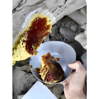 عسل وحشی قرمز تیره ویرانگر صد گرم