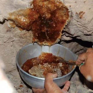 عسل وحشی صخره کوهی زنبور ریز قرمز بی رقیب..بیهوش کننده با یک قاشق..وحشتناک قوی غنی نابودگر اخلاط چهارگانه قوت بخش ذات نیم کیلو
